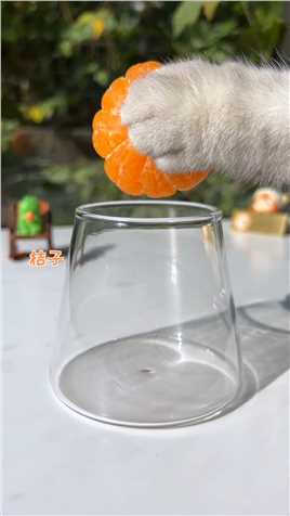 猫王：一年一度的橘子饮料，真的太好喝了！怕冷的可以不加冰