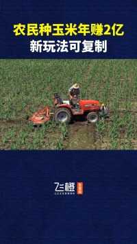 农民卖玉米，玉米还没卖就挣了2个亿#飞橙生意经#飞橙教育#商业模式#三农#农业