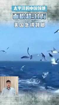 太平洋有中国5块合法领地，面积超31万平方公里，美国急得跳脚