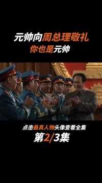毛主席为十大元帅授衔后，元帅们转身向周总理敬礼：你也是元帅 (1)