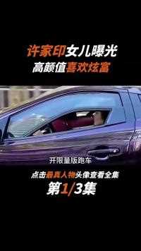 许家印神秘女儿曝光，高颜值女博士，生活奢靡开豪车高调炫富 (2)