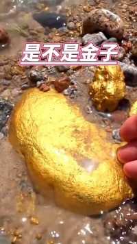 好多金色的石头，不知道是不是金子