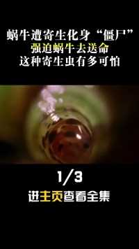 蜗牛遭寄生化身“僵尸”？强迫蜗牛去送命，这种寄生虫有多可怕#科普一下#寄生虫#蜗牛# (1)