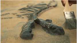古学家是如何判断古生物化石距今年限的 