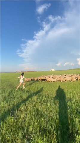 如果要去草原放羊，你会艾特你哪个朋友和你一起去呢 