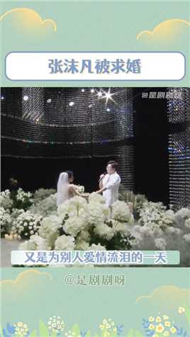 #张沫凡被求婚这样的惊喜谁能不爱啊！