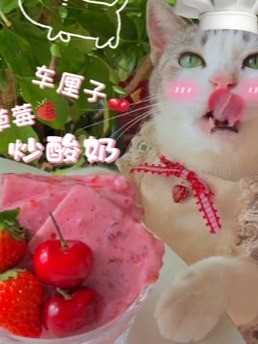 厨猫：车厘子草莓炒酸奶出摊啦!!