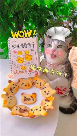 厨猫：自制可爱又好吃的猫咪曲奇饼干！