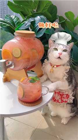 厨猫：超大pro max草莓多多水果茶桶