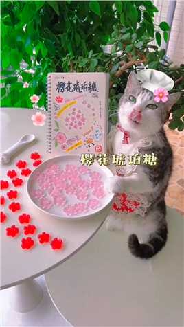 跟着厨猫自制梦幻高颜值樱花琥珀糖！好看又好吃！太美啦！

