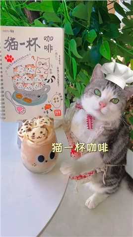 厨猫：猫一杯咖啡！
