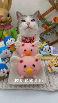 没有人会拒绝一只可可爱爱会做樱花猪猪青团的猫吧！