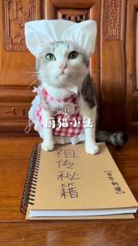 生活不易，猫猫学艺。中华料理猫当家修炼之路