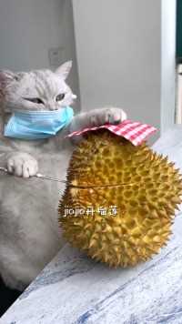 猫王：这么臭的东西，你们为什么觉得美味？.