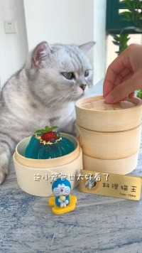 猫王：超仙的琉璃小笼包，就这颜值，你们能吃几笼？