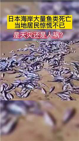 日本海岸大量鱼类死亡，当地居民惊慌不已，天灾还是人祸