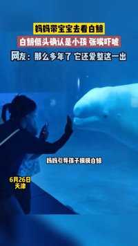 妈妈带宝宝去看白鲸，白鲸低头确认是小孩 张嘴吓唬，网友：那么多年了 它还爱整这一出