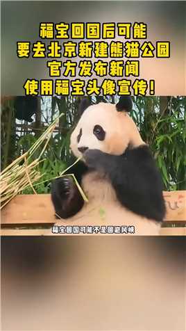 福宝回国后可能要去北京新建熊猫公园，官方发布新闻使用福宝头像宣传
