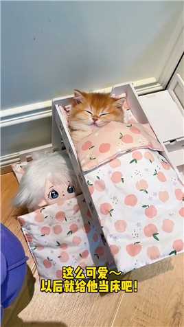 这个娃娃的床真的太适合小猫咪睡了！