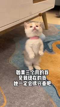 小奶猫：就要做一个酷酷的女孩！