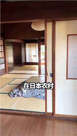 在日本龙猫同款老宅体验流水素面，差点破产…