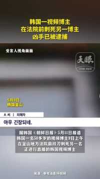 韩国一视频博主在法院前刺死另一博主 凶手已被逮捕
