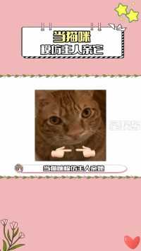 猫猫：你平常就是这样发癫的