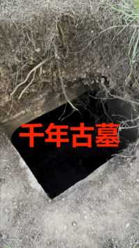 重庆野外发现1000年的古墓！一个大盗洞，可惜了。