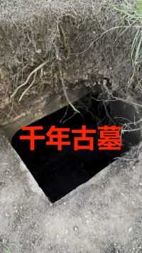 重庆野外发现1000年的古墓！有一个盗洞，可惜了。