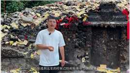 贵州有一座神奇的古坟，居然是被蚂蚁卷土埋葬，这样的坟你见过吗？