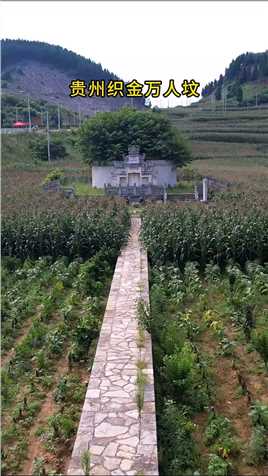 贵州织金万人坟，是一座埋葬了上万人的古墓，康熙皇帝都为它题词立碑，其背后的历史更是悲壮惨烈！