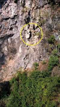 在贵州深山悬崖绝壁之上发现一条石龙，旁边还有许多精美浮雕，看着就很有年代感，在这荒山野岭雕刻这些有何寓意？