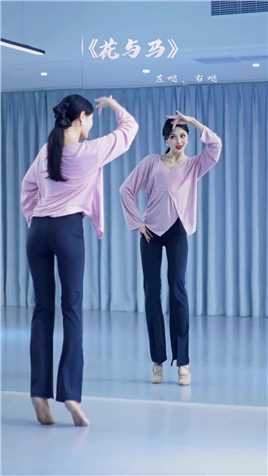嗓子又又又哑了#韩老师教你跳舞#韩婳原创编舞#花与马#零基础学舞蹈