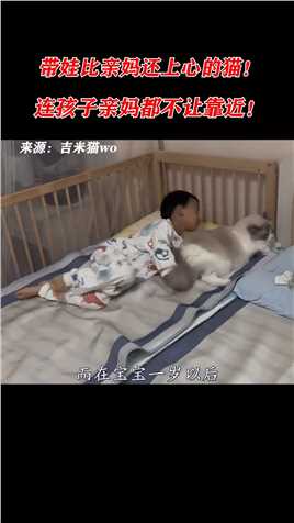 带娃比亲妈还上心的猫！每天守着宝宝睡，连孩子亲妈都不让靠近！