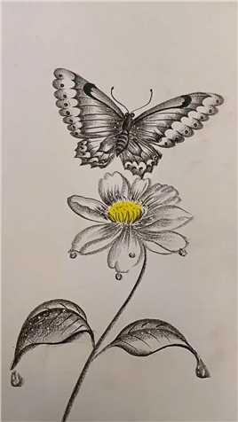 蝴蝶花儿炭笔画