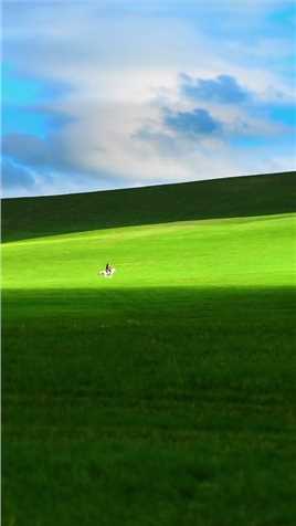 赛白努！这里是锡林郭勒大草原。旅行我的生活日记美丽的草原