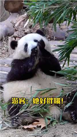 #大熊猫和花,哼,国宝的事情你少管