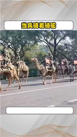  这是那个军队还骑着骆驼走？