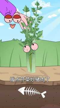 芹菜采收小技巧#芹菜种植 #动画科普 #原创动画