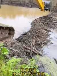 挖掘机疏通河道#挖掘机 #清理河道 #挖掘机工作第一视角视频 #工程机械 #现场实拍