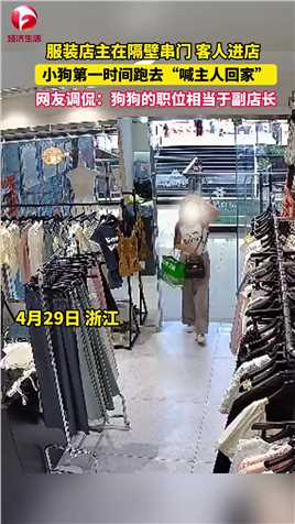4月29日，浙江，服装店主去隔壁串门，店内来了顾客，狗狗第一时间跑去通知主人。来源