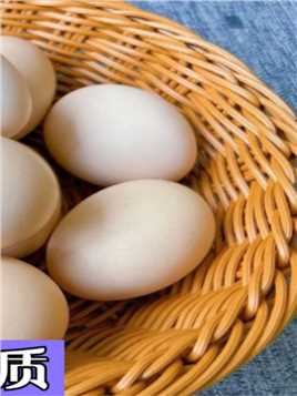 保存鸡蛋最好别放冰箱，教你3招放一年都不会变质，赶紧试试！#鸡蛋#冰箱#生活妙招#涨知识#科普#揭秘 (3)