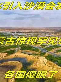 将黄河水引入沙漠会发生什么？内蒙古惊现罕见奇迹，各国傻眼了#黄河#沙漠#内蒙古#揭秘#涨知识#科普 (2)