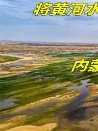 将黄河水引入沙漠会发生什么？内蒙古惊现罕见奇迹，各国傻眼了#黄河#沙漠#内蒙古#揭秘#涨知识#科普 (1)