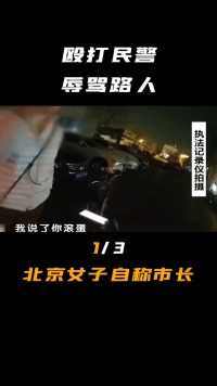 殴打民警，逆行撞人，北京一女子自称未来市长，其背景究竟是谁？#历史#袭警#女市长#交通事故 (1)