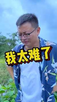  今天这媳妇怎么懂事了？