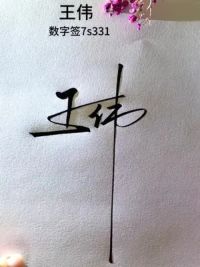王伟，数字签7s331,巧妙的共用笔画，连贯流畅，一气呵成。多看几遍，容易上手。你的名字呢？#签名设计 #艺术签名 #数字签