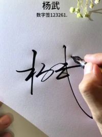 杨武，数字签123261.让签名变得简单好学。你的名字呢？可以用什么数字理解#签名设计 #写名字 #签名 #数字签