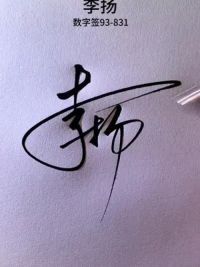 李扬，艺术签名，用数字理解93-831，这样更容易学会，你的名字呢？可以用什么数字理解。#你留名我来写 #艺术签名