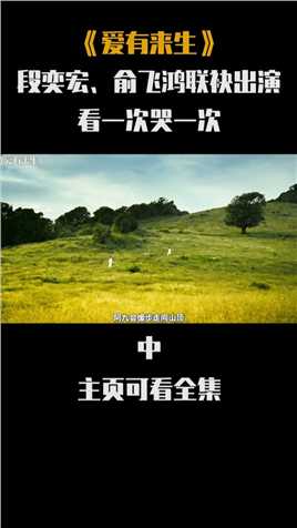 我心中最文艺的华语片，段奕宏、俞飞鸿倾情演绎，看一次哭一次。第3集